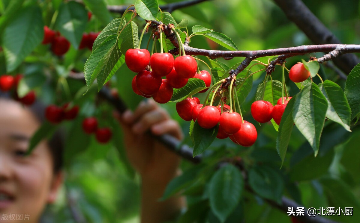 八种当季水果别错过,6月份要吃的四种水果
