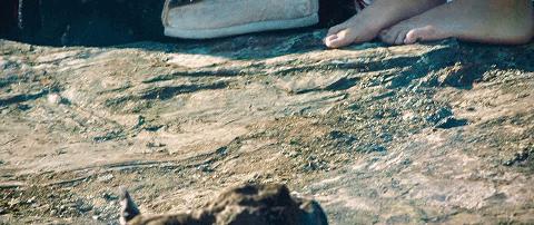 真三国无双历代好评最高,最新一代的真三国无双