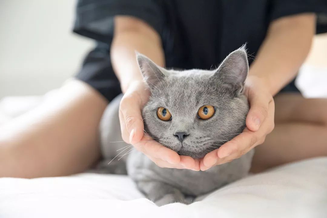 深圳富人日常生活真实记录,在深圳普通人最真实的生活状态