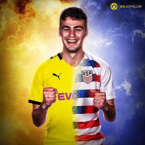 镜像布阵同曲异工，青壮蜂王捷足先登