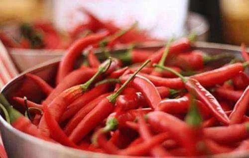 秋冬季干裂脱皮润唇膏最火,嘴唇干裂脱皮用什么润唇膏好用