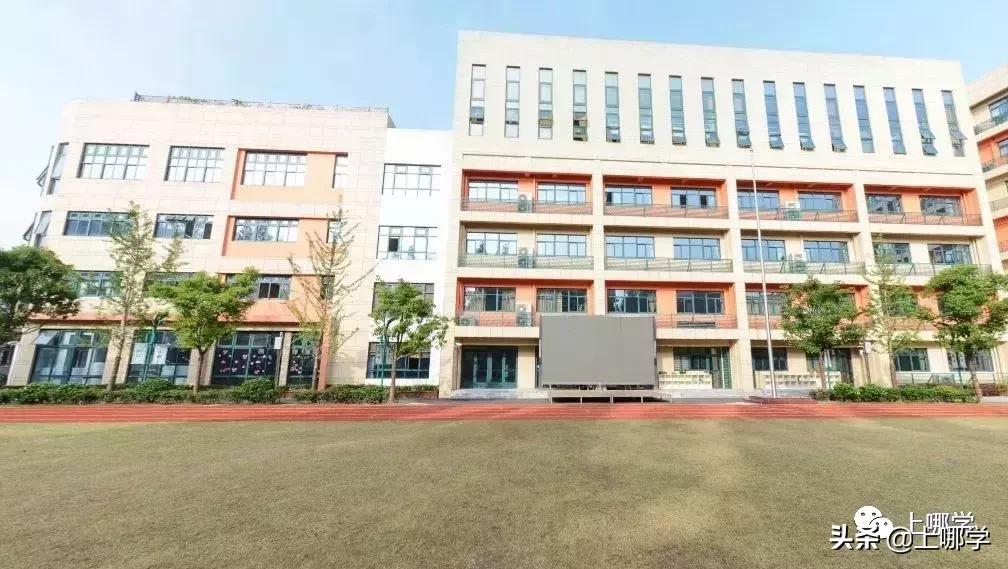 上海杨浦区小学对口地段图,杨浦区小学初中对口地段表