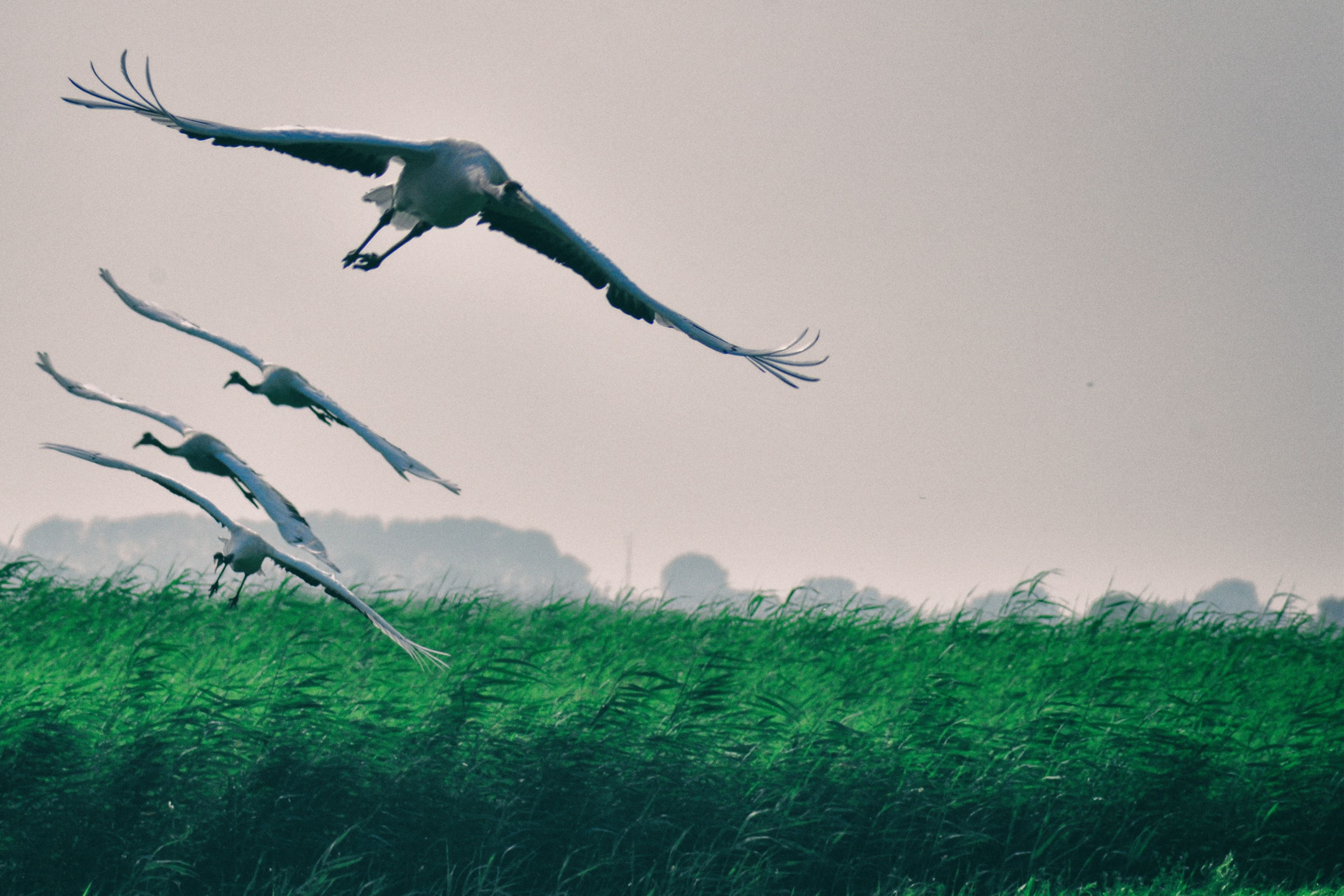 南方人自驾来东北是啥体验,15天一万公里的新疆感受