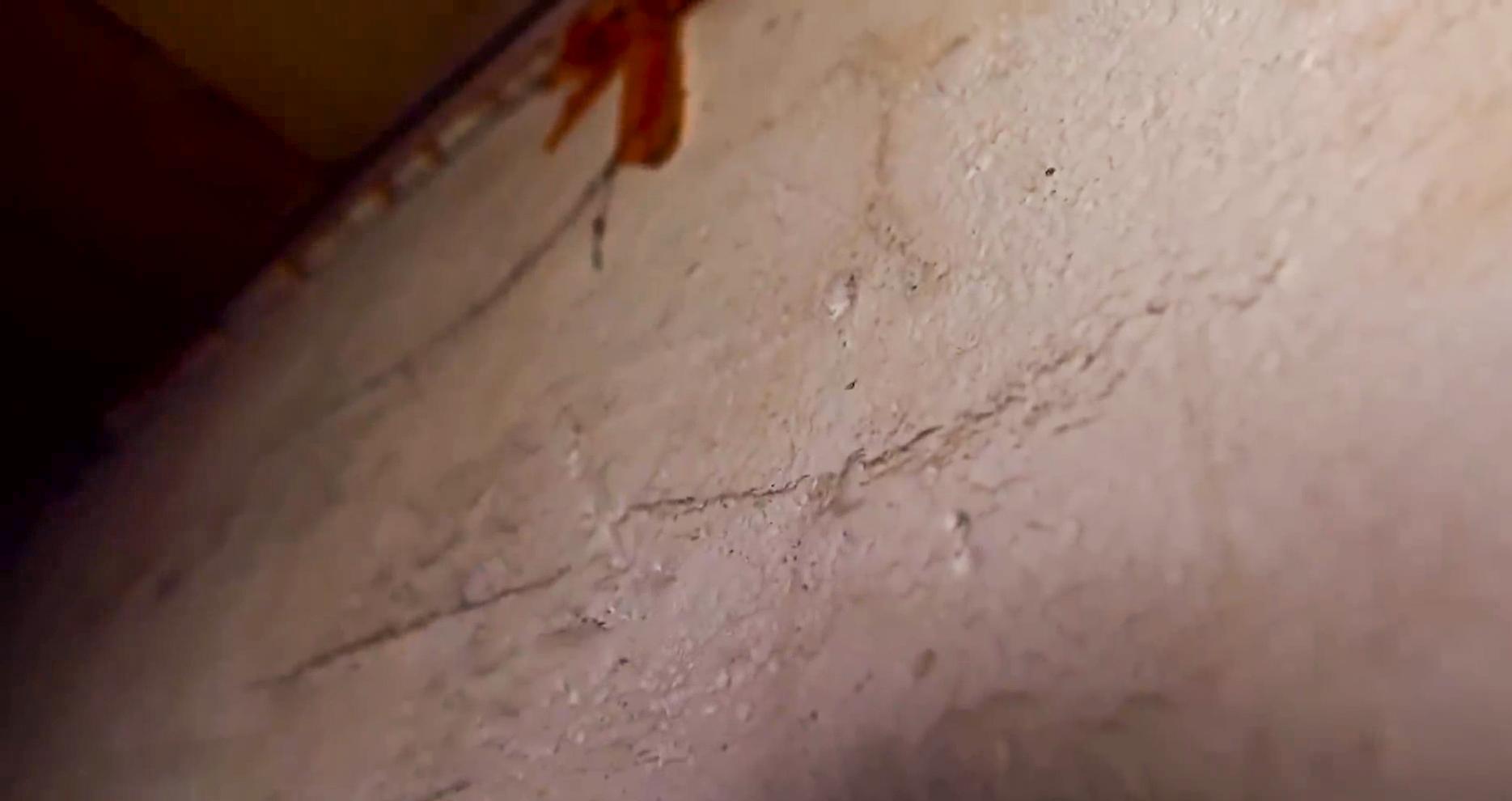 儿时老宅大改造效果震撼,百年老宅改造图