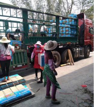 卖西瓜生意火爆一天2万斤,小伙3000斤西瓜4天卖完能赚多少