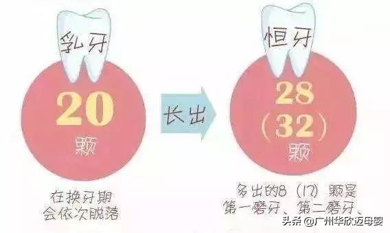 换牙的时候要注意哪些事情,宝宝换牙怎么护理牙齿才能长整齐