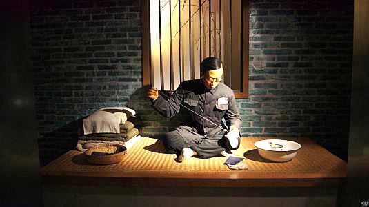 打不死的小强不倒翁,打不死的小强精神好吗