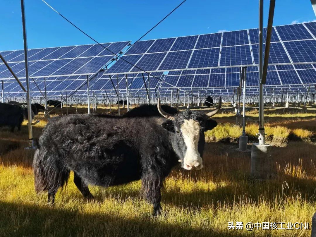 中核汇能最新信息,中核汇能河北新能源有限公司