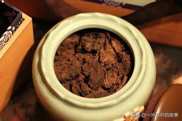 普洱茶饼里长茶虫还能喝吗,普洱茶饼有霉了还能喝吗