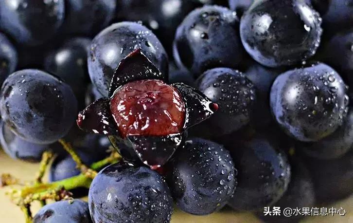 中国水果大全,中国水果大全图片和名字