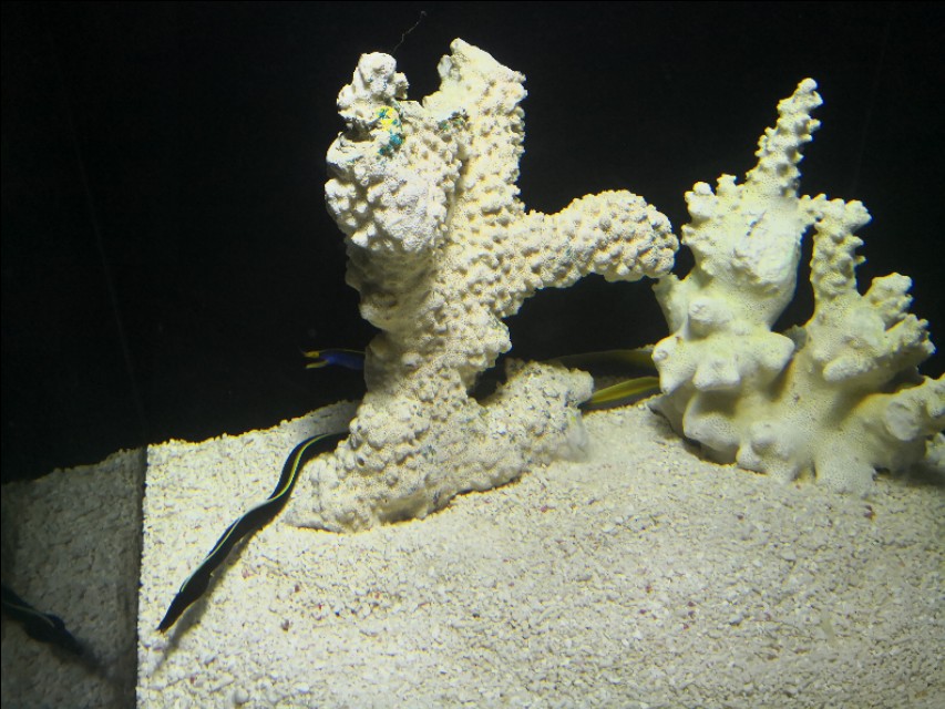 北京工体富国海底世界周一营业,北京工体富国海底世界旅馆