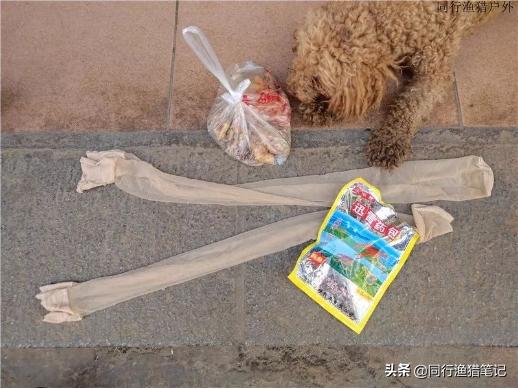 如何在鱼塘里钓龙虾,小龙虾池塘钓鱼技巧和方法