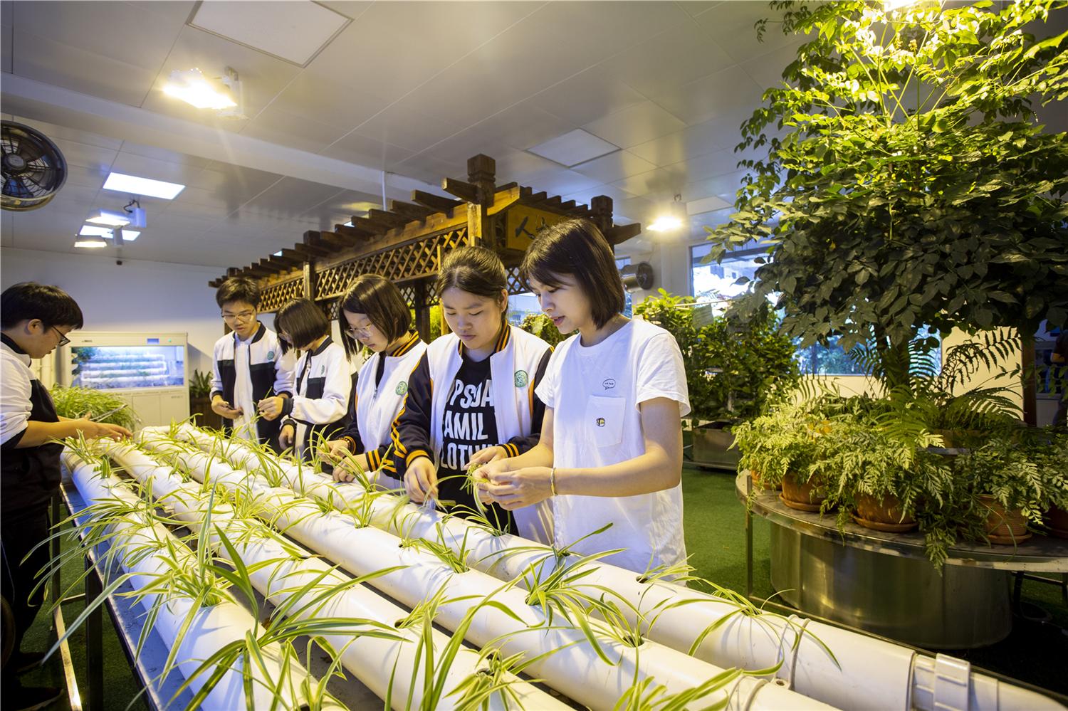 武汉第四十九中学2018文科,武汉市第四十九中学艺术班