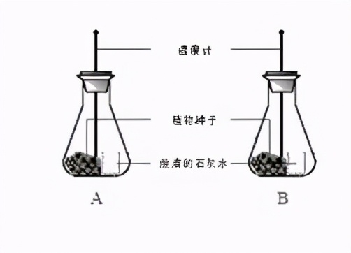 人教版七年级生物植物的呼吸作用,生物光合作用与呼吸作用的综合题
