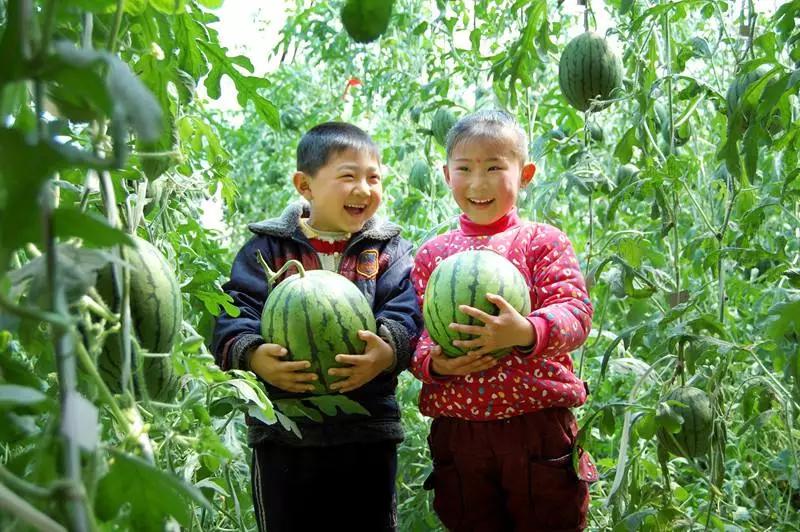 热干面醒了！潍坊肉火烧们坐不住了​！