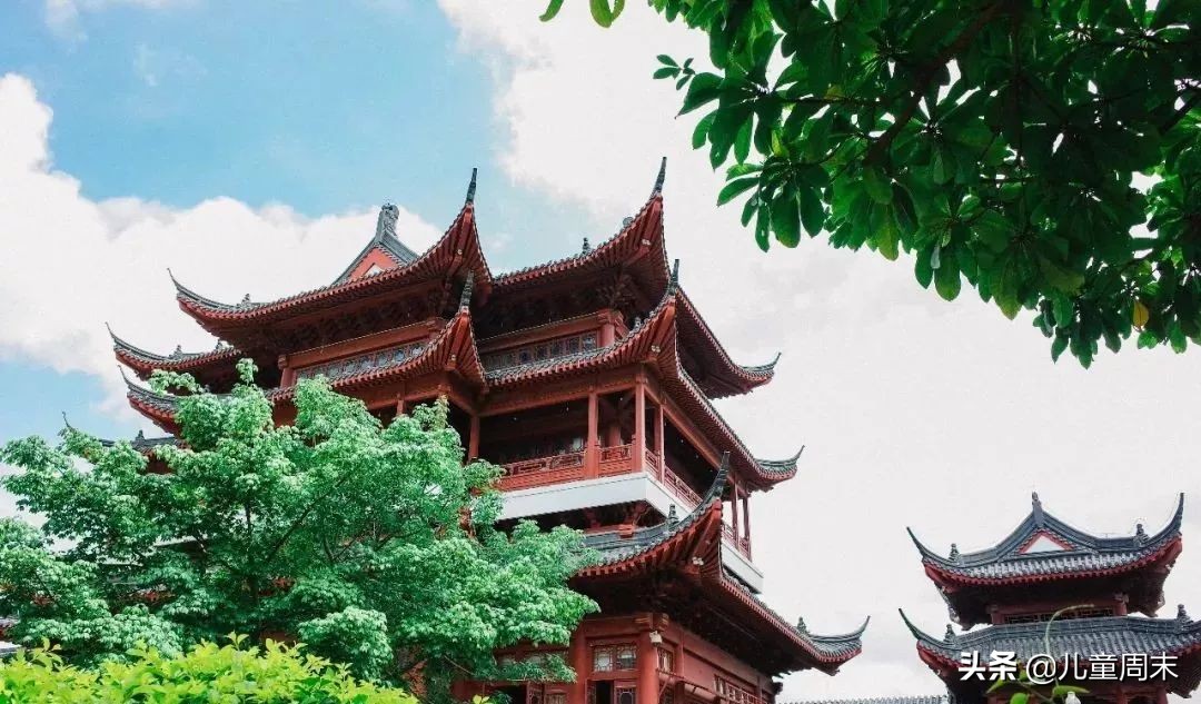 深圳带娃免费旅游推荐,深圳带娃出游景点攻略推荐