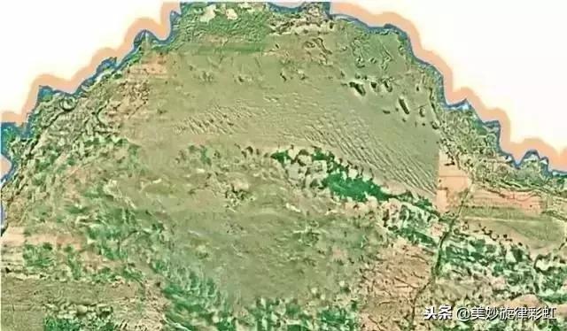 蚂蚁森林里为什么偷不到别人能量,蚂蚁森林西伯利亚狍会帮偷能量吗