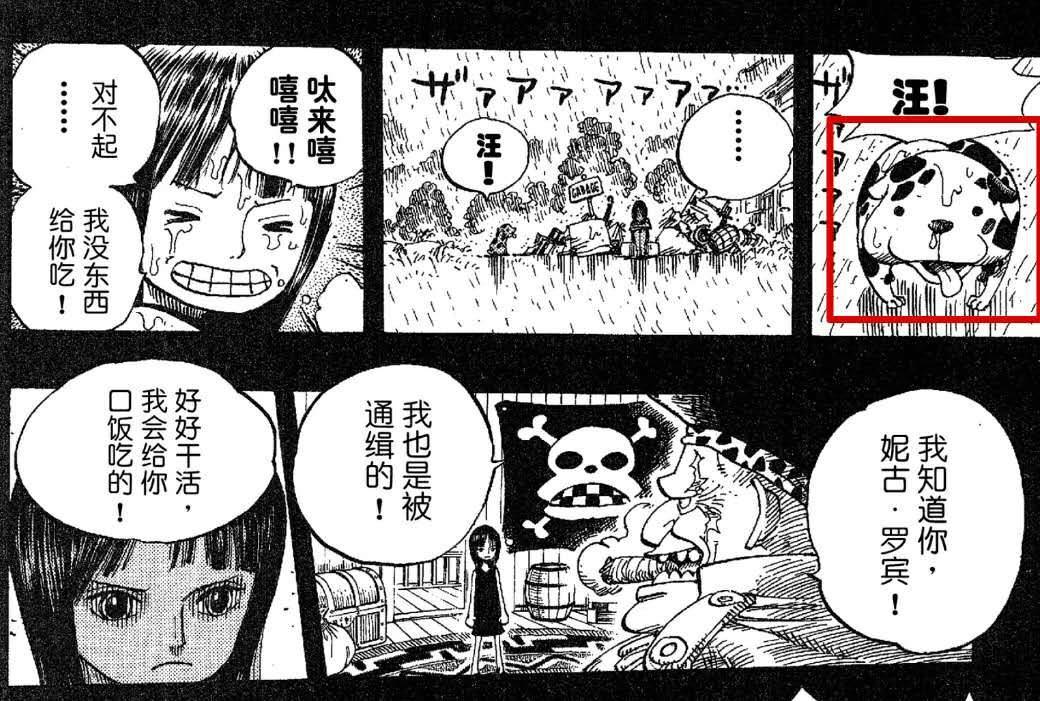 海贼王1007集免费观看完整版,海贼王1007话罗宾