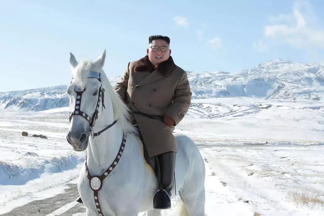白马踏雪山金正恩座骑大有来头｜除了帅气人类为何钟情白马？