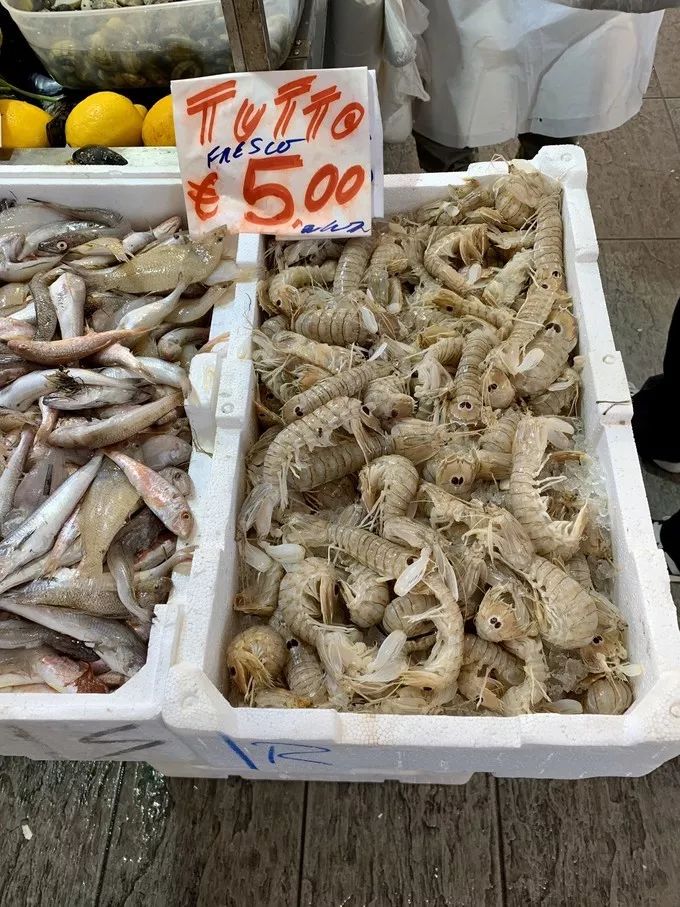 歌诗达邮轮31天,中国最大邮轮歌诗达威尼斯号邮轮