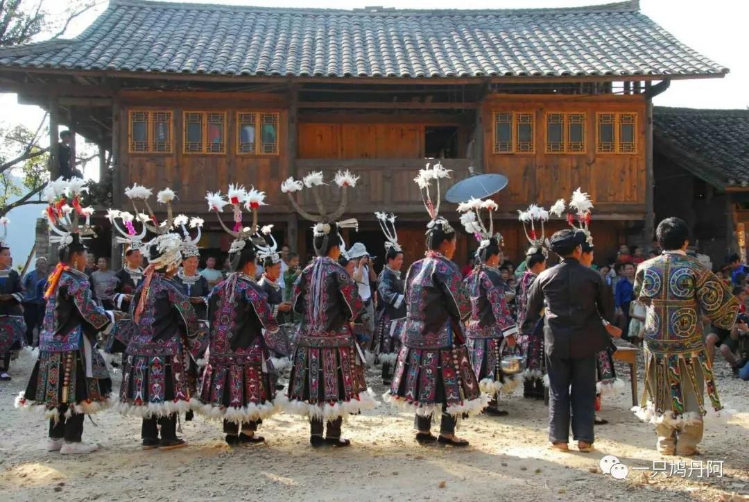 苗族百鸟衣搭配,百鸟衣苗族的介绍