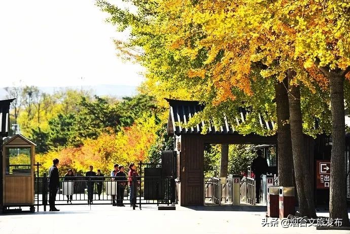 蓬莱的海边风景,蓬莱仙境的景色非常迷人