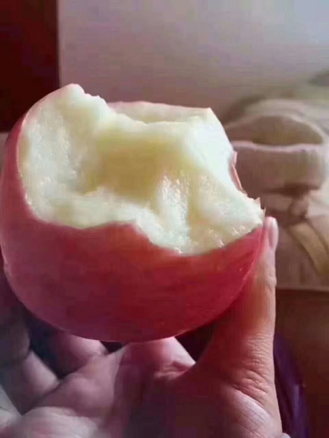 洛川苹果现状如何,洛川苹果农药