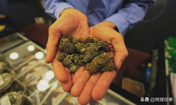 加拿大实行*麻大**合法已半年，为啥*私走**到加拿大的*麻大**反而增多了？