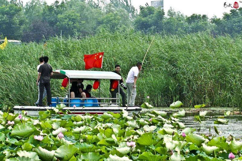 八千年看秦安,八千年来看河南