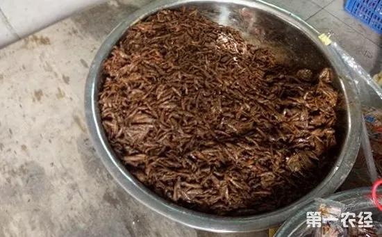 超市里一块钱一包的小辣鱼，到底能不能放心吃？