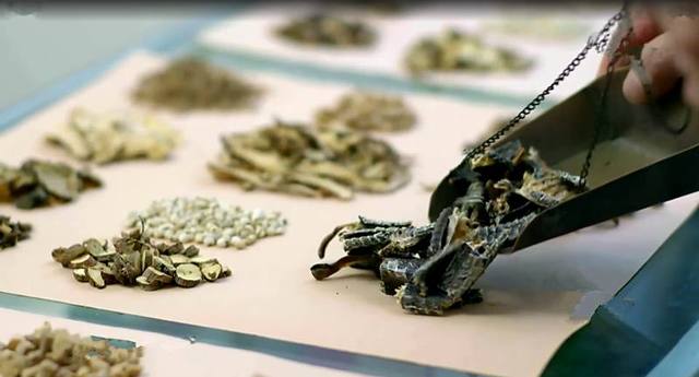 捕蛇奇人,河南奇人李群抓蛇