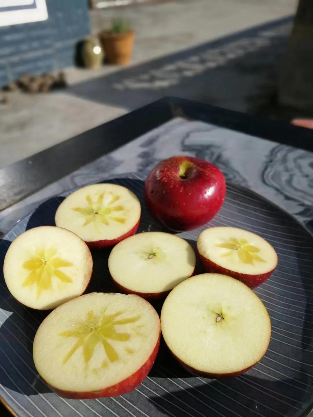 一家三口在大理租房,一家三口的田园生活