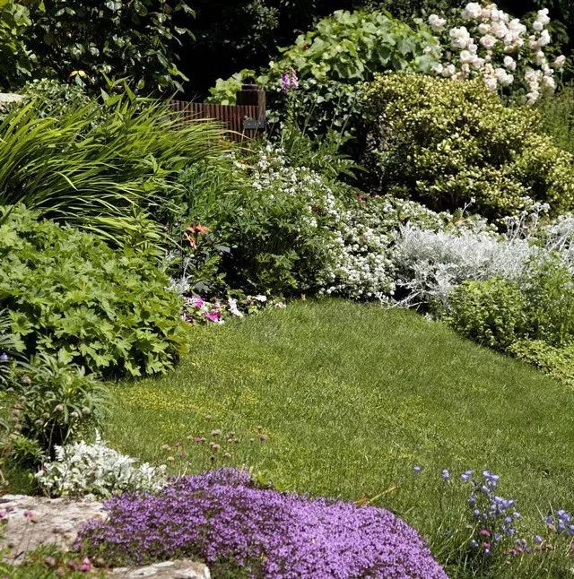 雨水花园植物区,雨水花园水生植物