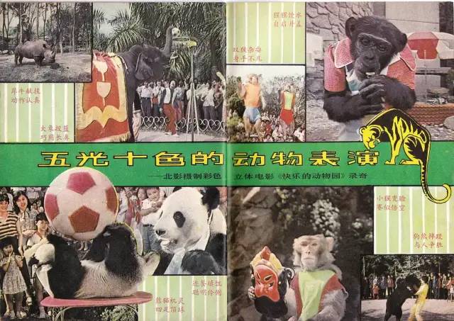 电影侠女十三妹哪年拍的,侠女十三妹老电影结局