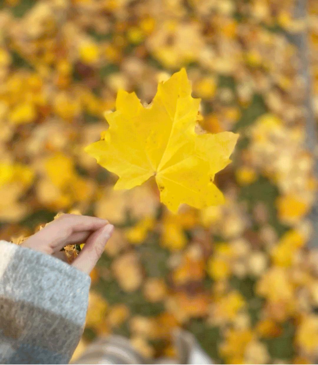 穿情侣装不是挺正常的吗,穿情侣装好尴尬