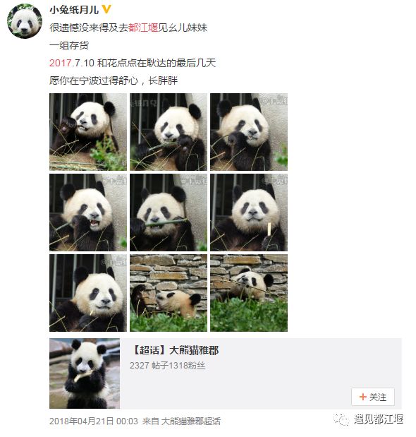 2019年都江堰视频纪录片,2019天府之国都江堰