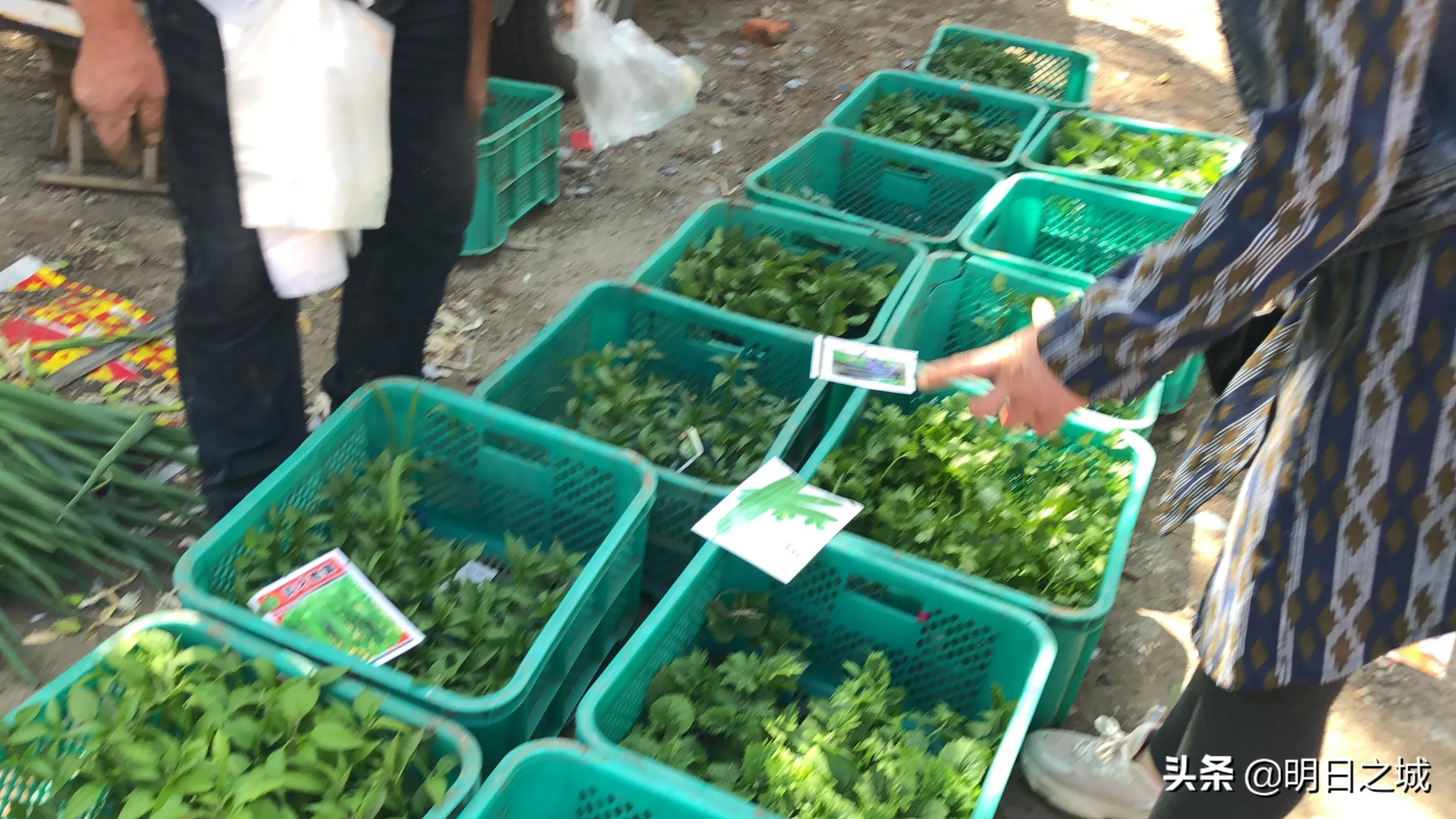 长春早市晚市大集大全2021,长春目前存在的早市