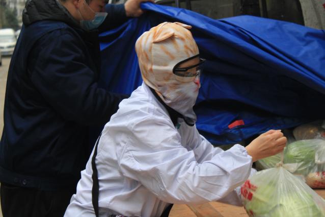 猫管家志愿者,猫管家的工作是什么