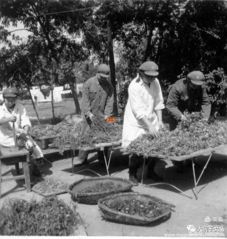 关小维│（军旅女兵）跟随铁道兵的日子（下）