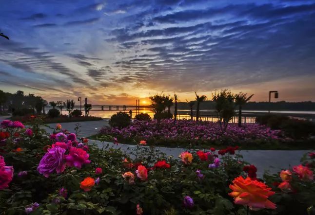 再过半个月，全国人民都将羡慕南阳