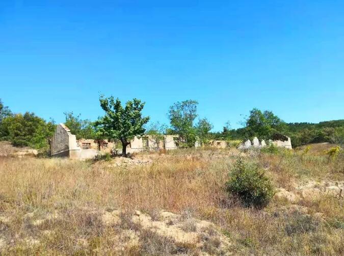 海阳市一个幸福小镇,拥有海阳北站,盛产苹果和奶牛