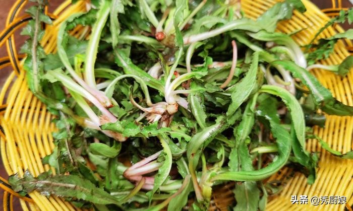 农村这个菜比猪肉还好吃,有一种红色野菜炒鸡蛋很好吃