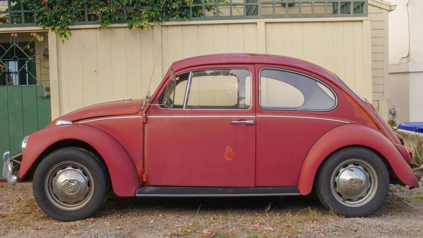 甲壳虫安妮视频,甲壳虫安妮后续