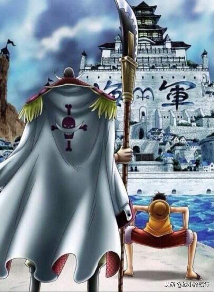 海贼王漫画人物叫什么名,海贼王的漫画有哪些