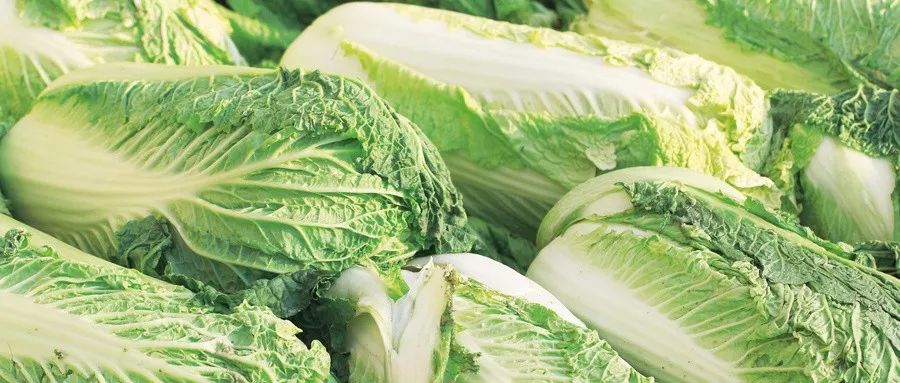 冰糖泡菊花降火,上火喝菊花冰糖有用吗