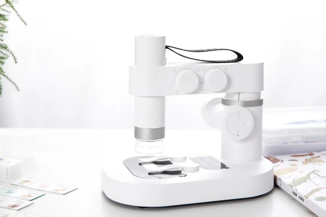 暑假孩子玩手机不如打篮球吧,儿童显微镜放大蚂蚁120倍