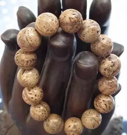 最全的菩提子图解太美了,最好的菩提子