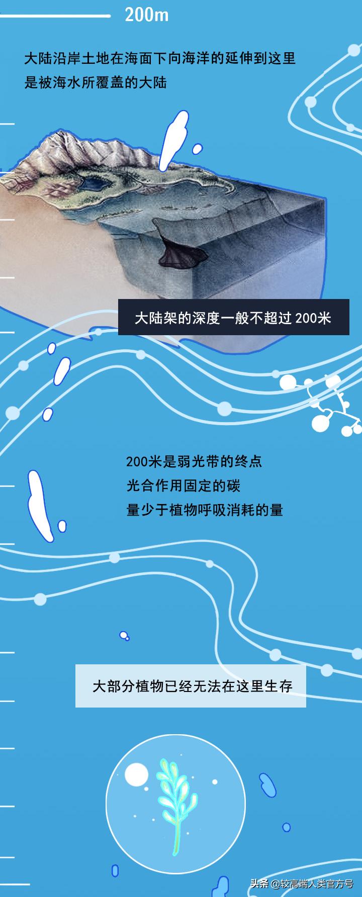 手机掉进水里十几秒有问题吗,手机掉入1000米