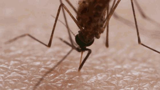 vape驱蚊喷雾驱蚊水 (vape驱蚊水哪个颜色驱蚊效果好)