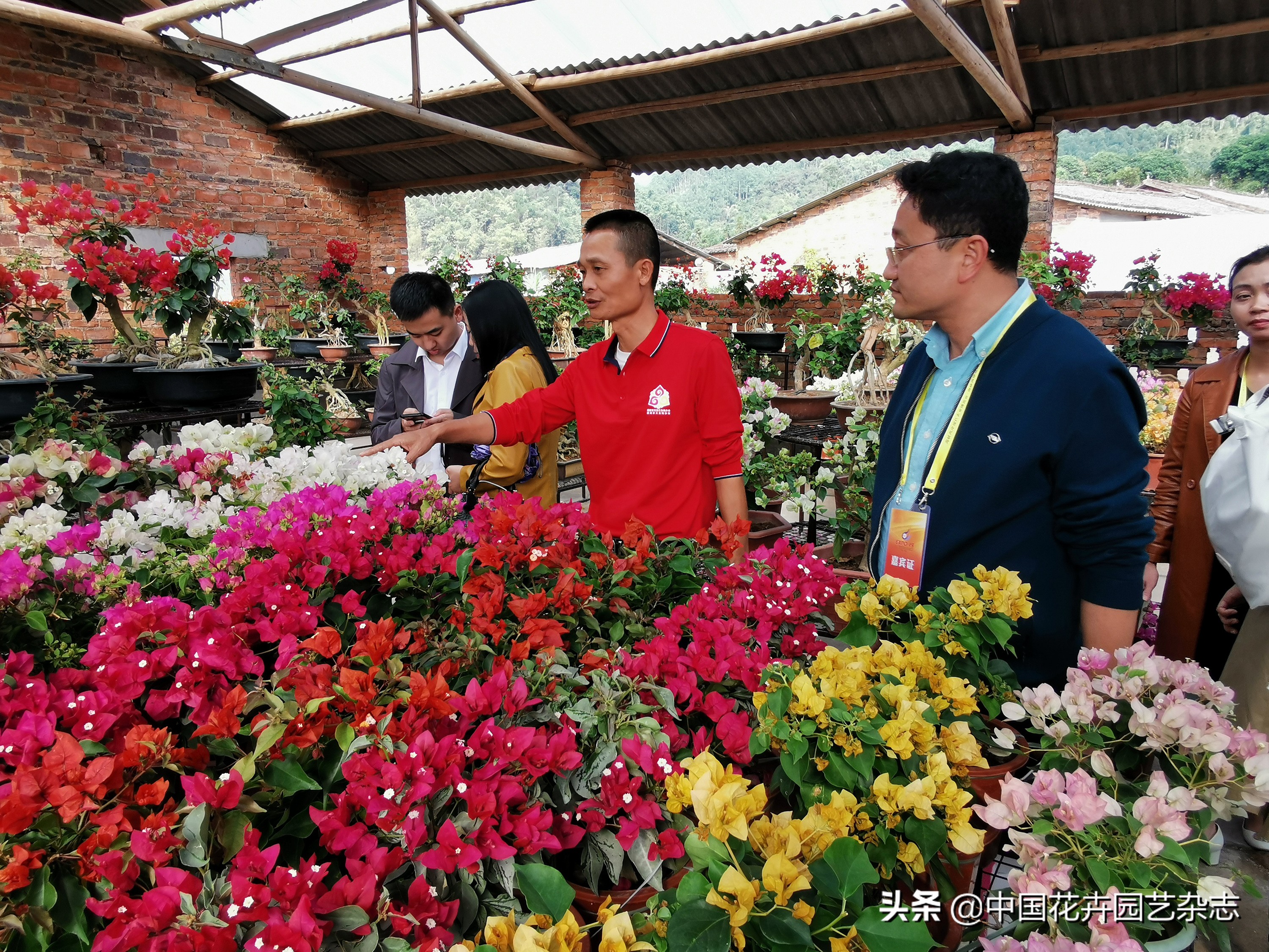 为两大产业率先突破注入鲜活动力,为经济发展注入新动力新活力